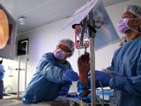 Hong Kong Wrist 6-10 Dec 2019  - 328.jpg